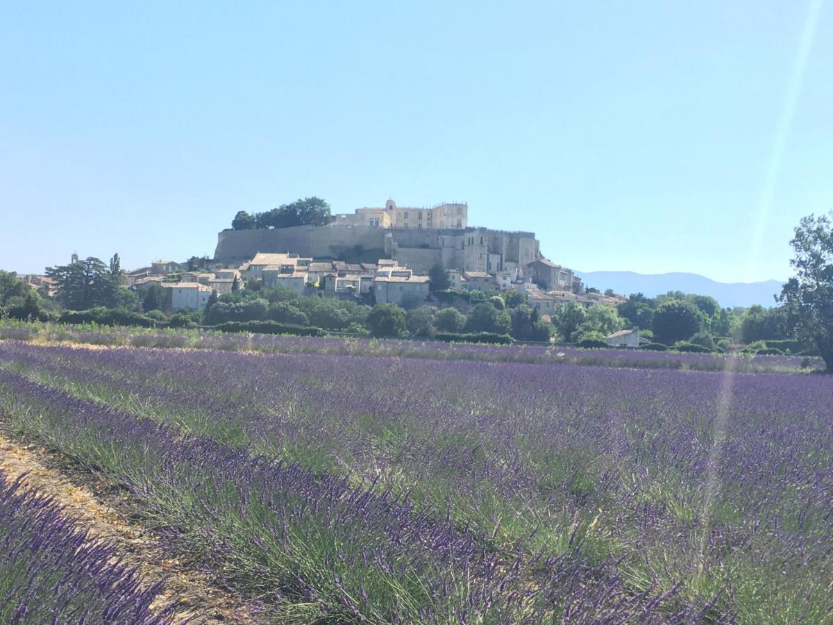 Le Clos De La Tuiliere